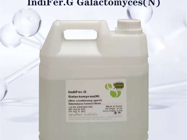 IndiFer.G Galactomyces (N)